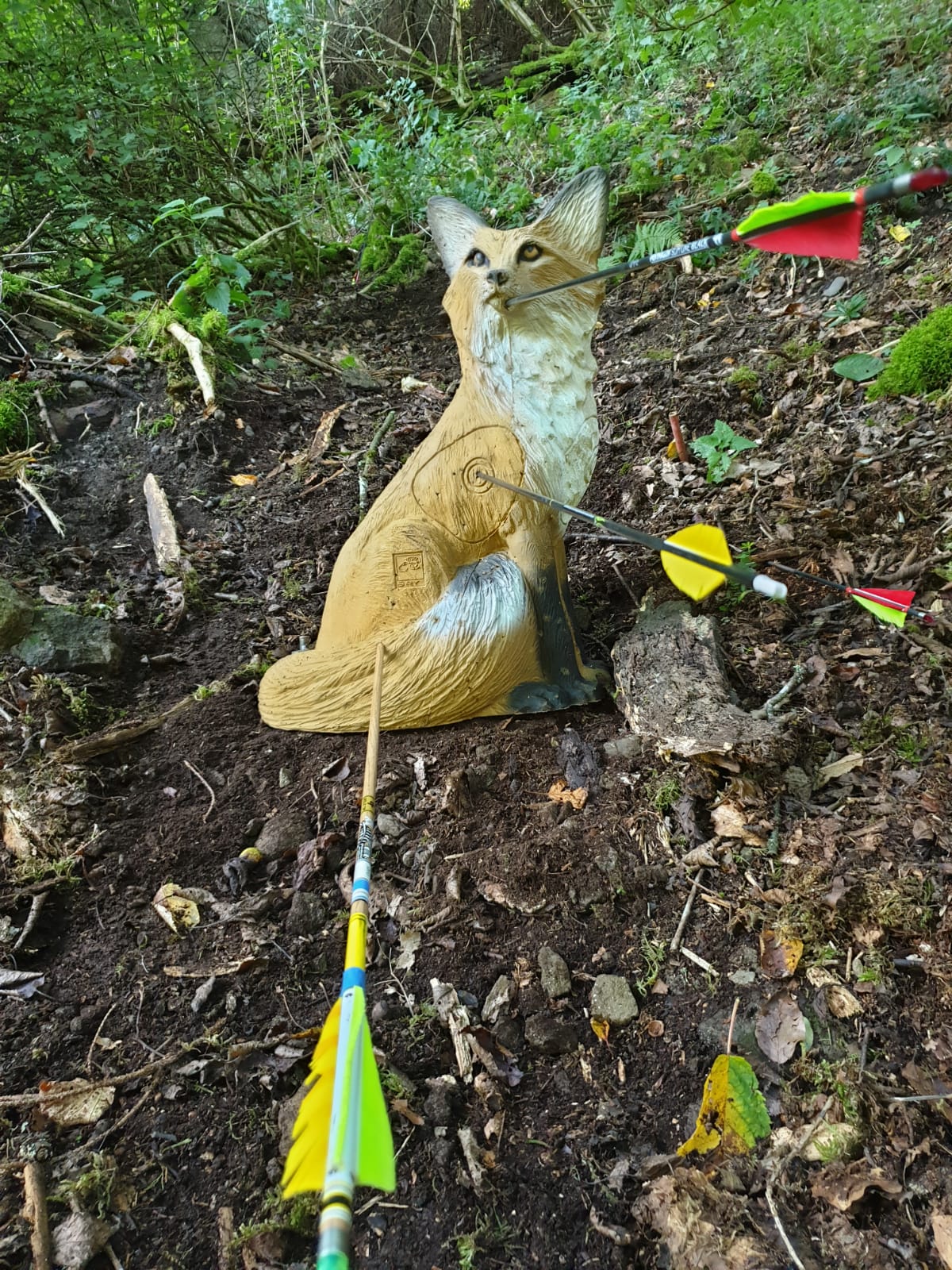 3D-Bogensport bei den Bogenschützen Rheinbach